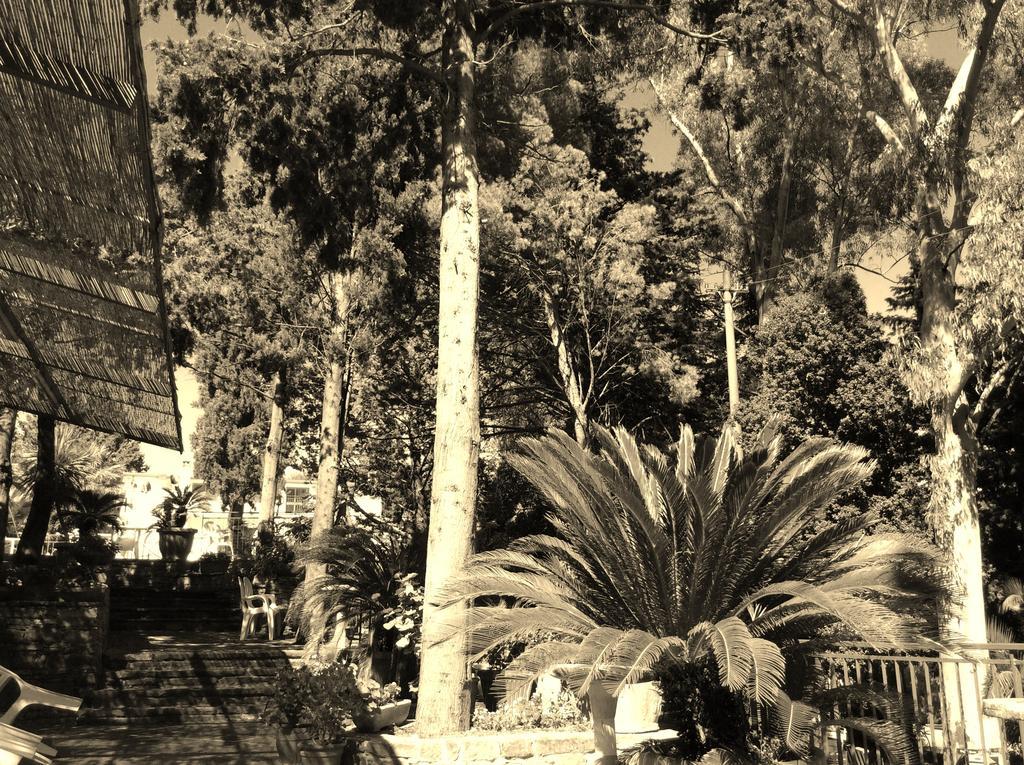 פרדיפומו Hotel Eden מראה חיצוני תמונה